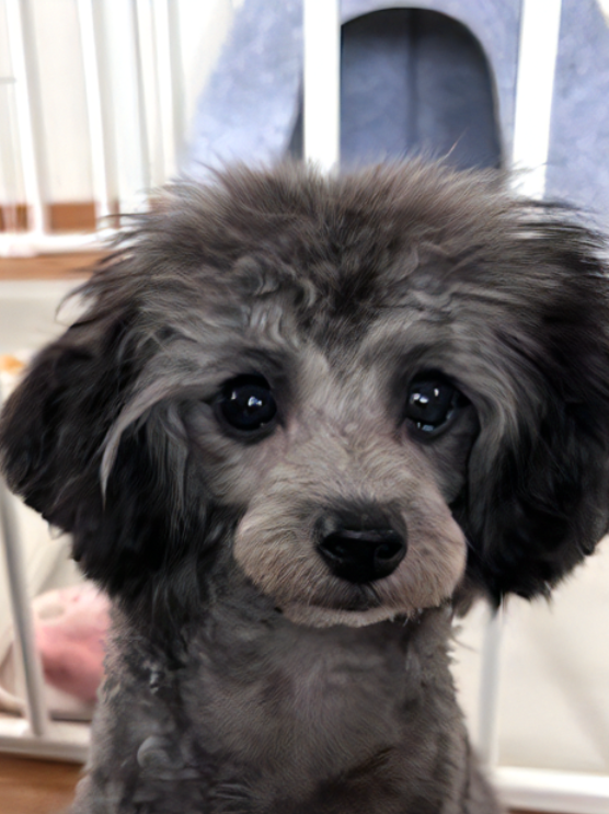 HUGBOXを続けた現在の未来ちゃんの写真